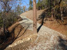 Grading / Driveway